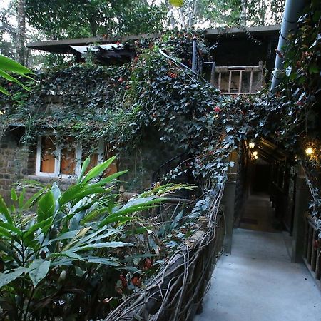 Greenspaces B&B Munnar Ngoại thất bức ảnh