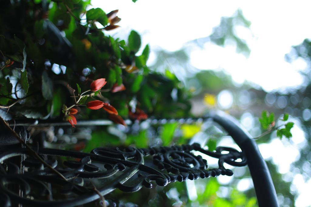 Greenspaces B&B Munnar Ngoại thất bức ảnh