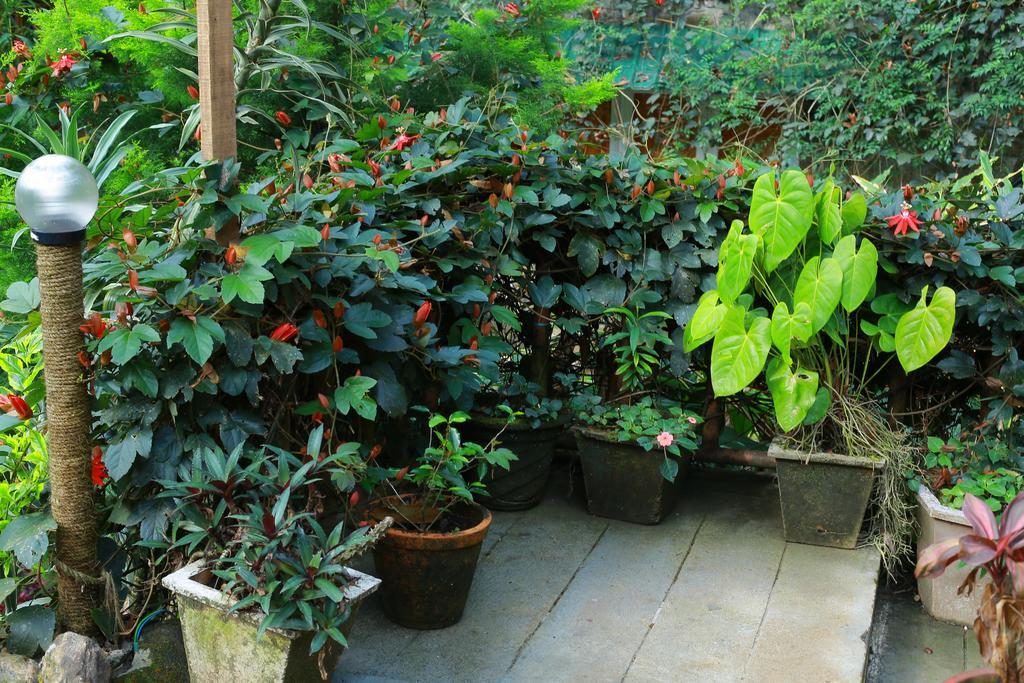 Greenspaces B&B Munnar Ngoại thất bức ảnh