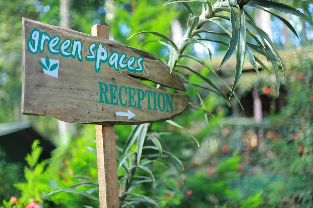 Greenspaces B&B Munnar Ngoại thất bức ảnh