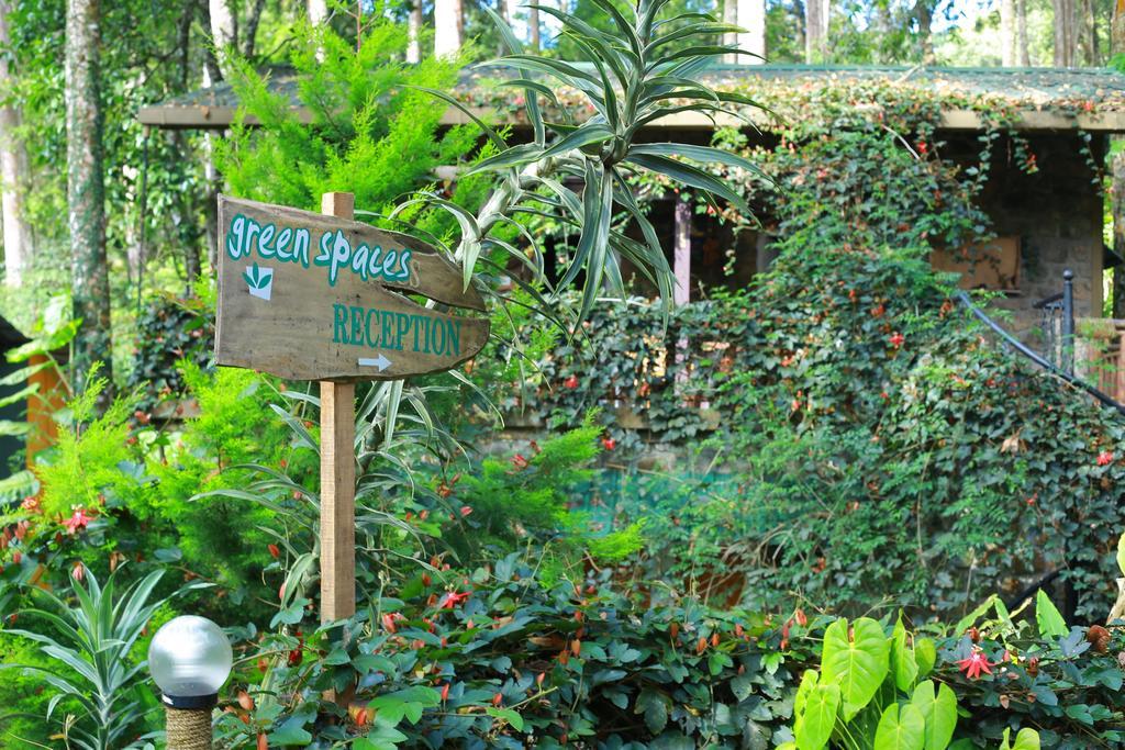Greenspaces B&B Munnar Ngoại thất bức ảnh