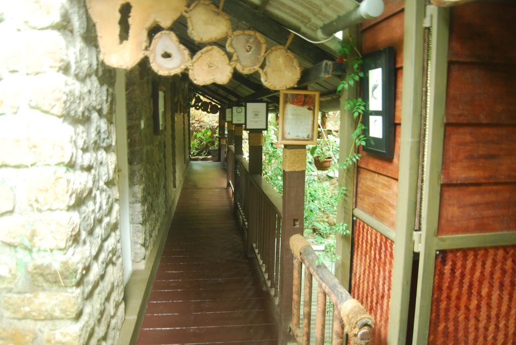 Greenspaces B&B Munnar Ngoại thất bức ảnh