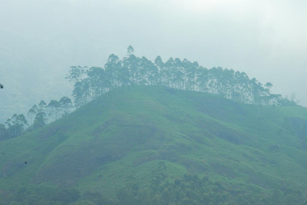 Greenspaces B&B Munnar Ngoại thất bức ảnh