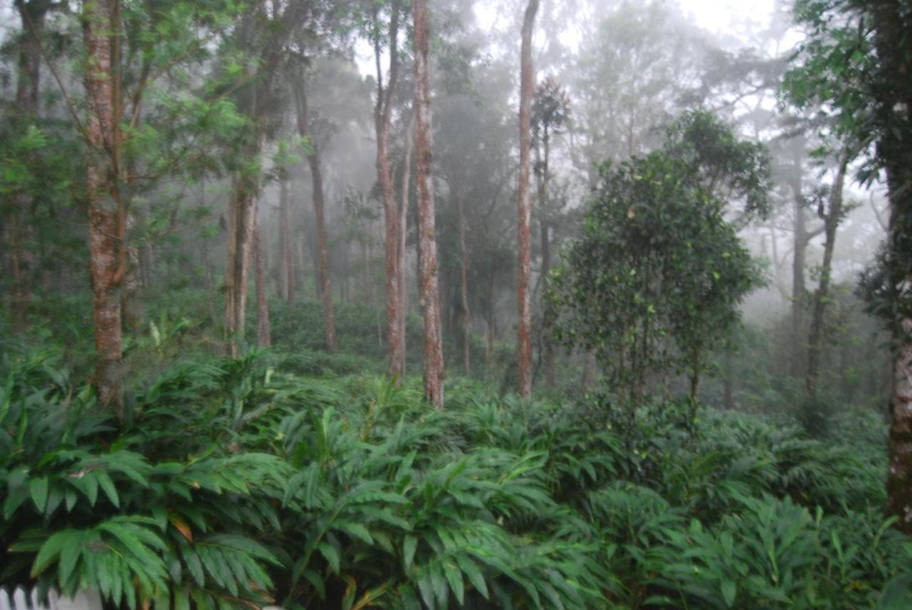Greenspaces B&B Munnar Ngoại thất bức ảnh
